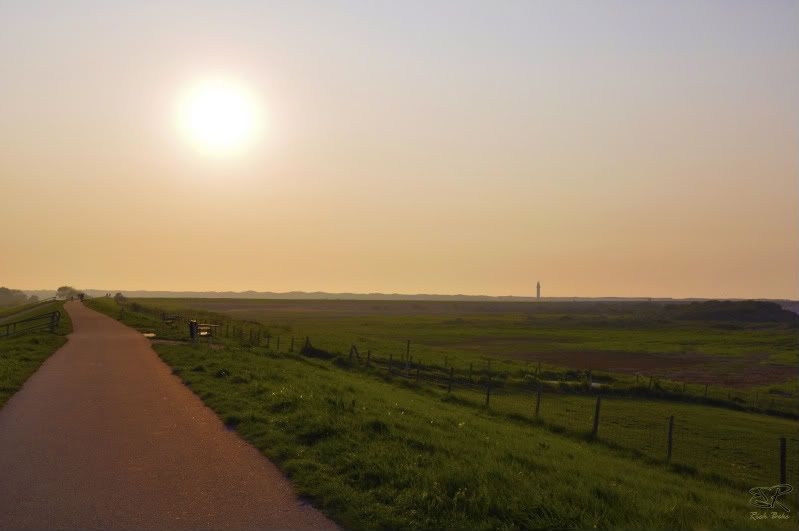 Fotografie
