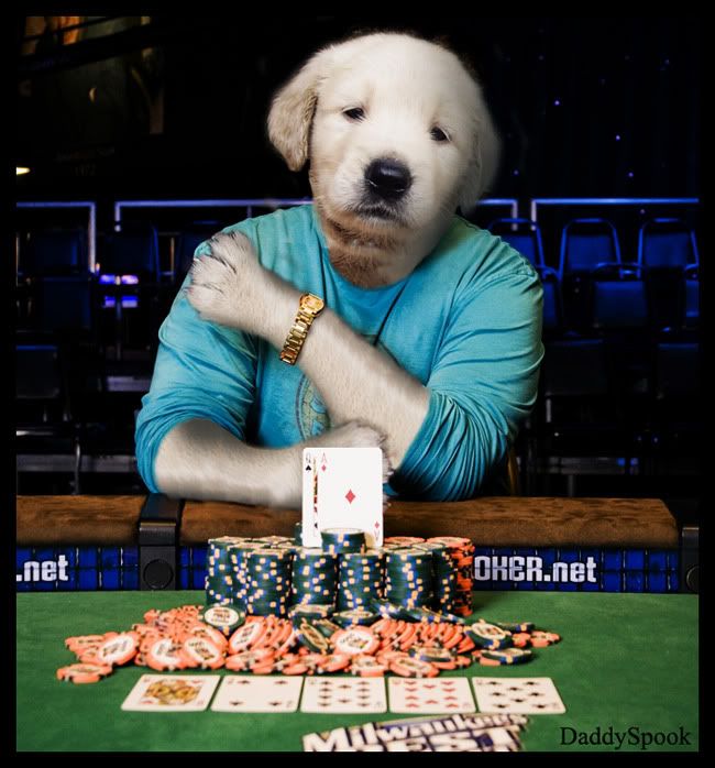 Poker-Dog-0394.jpg