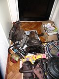 th_CR2011_Fiat36.jpg