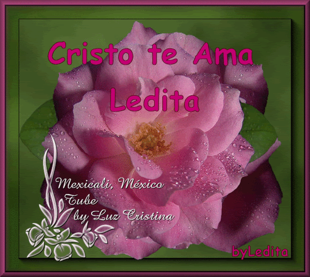 LeditaCTArosaLeditaSaurezClpm.gif Ledita%CTA-rosa%LeditaSaurezC%lpm picture by Ledy_Marias