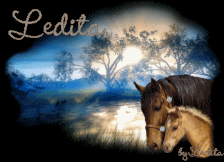 LeditaCaballosLeditaSaurezClpm.gif Ledita%caballos%LeditaSaurezC%lpm picture by Ledy_Marias