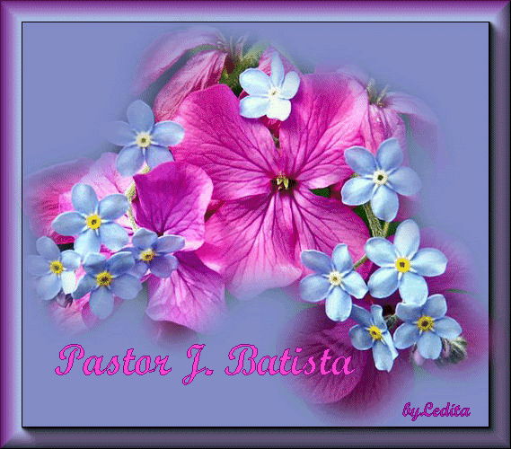 PastorJBatistafloresLeditaSaurezClp.gif PastorJBat%flores%LeditaSaurezc%lpm picture by Ledy_Marias