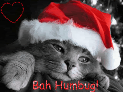 bah humbug photo: Bah Humbug! christmas-kitten-cat-756396-1-1.gif