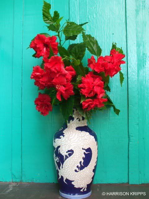 480x640 c EVENING VASE
