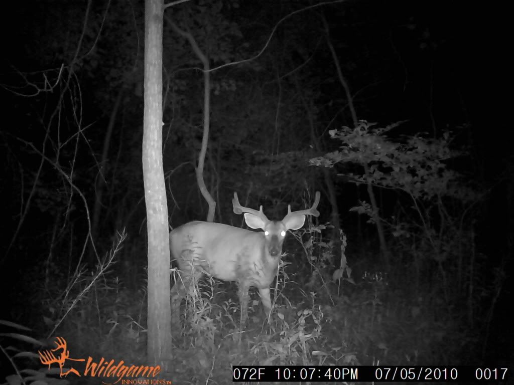 wildgame innovations ir2