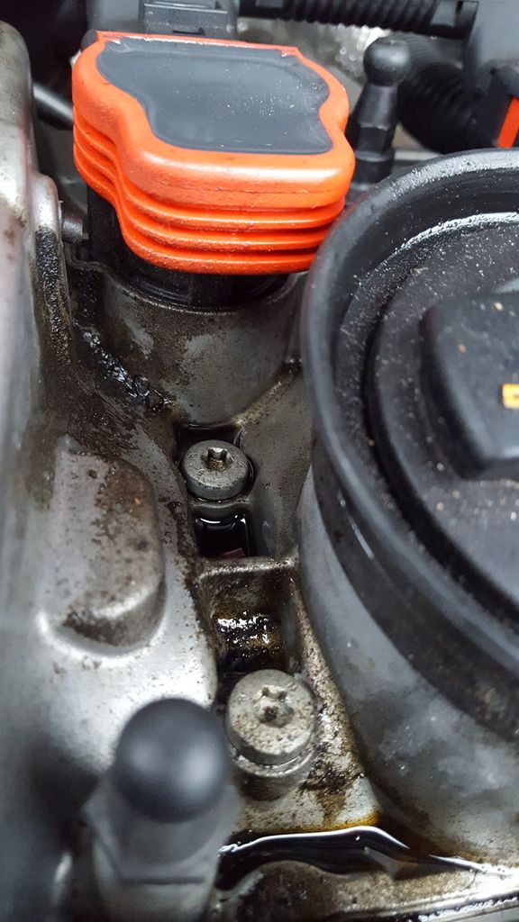 2010 Tiguan 2.0t Oil Leak