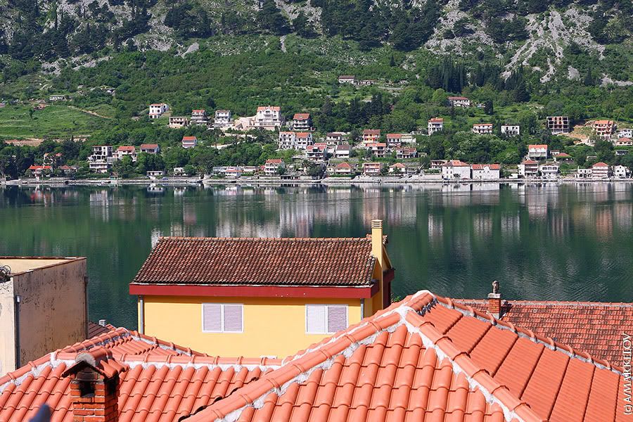 kotor 