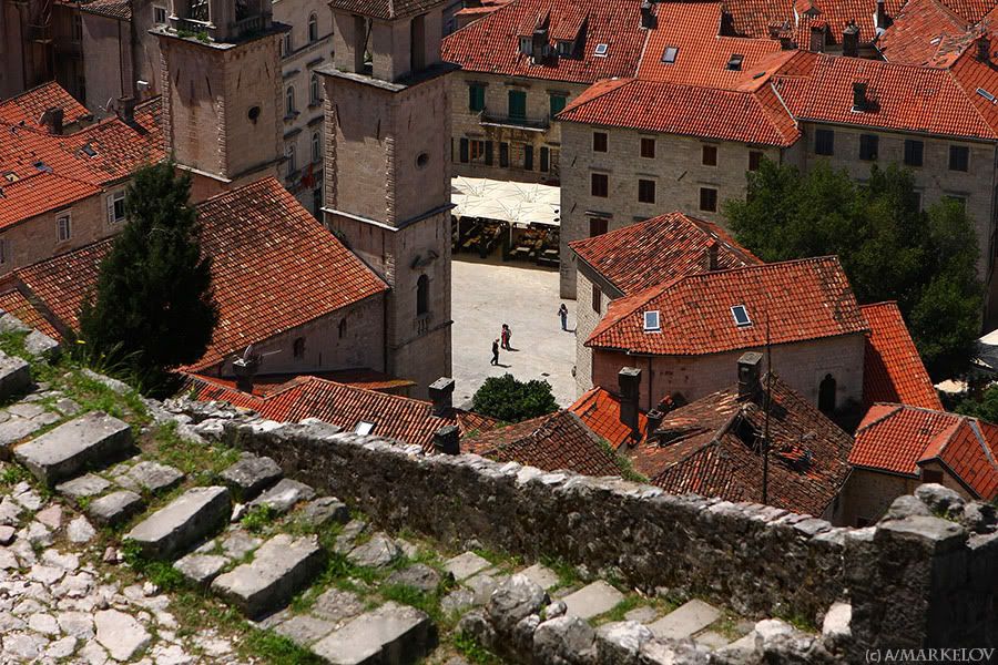 kotor 
