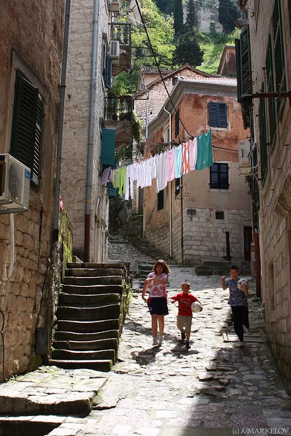 kotor 