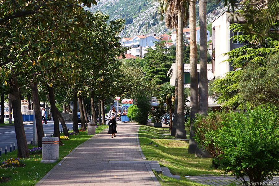 kotor 