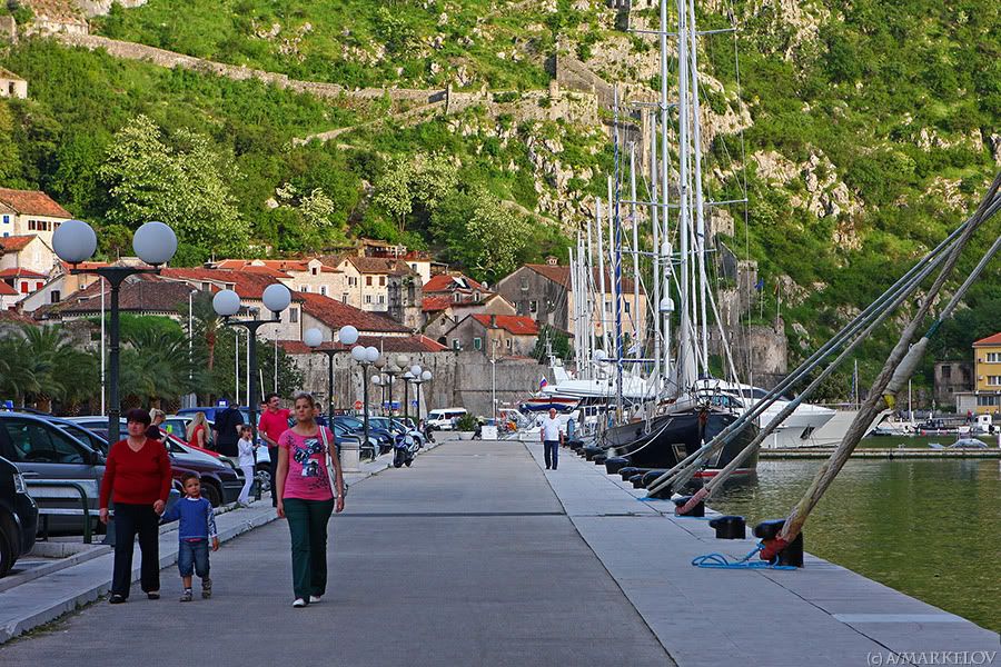kotor 