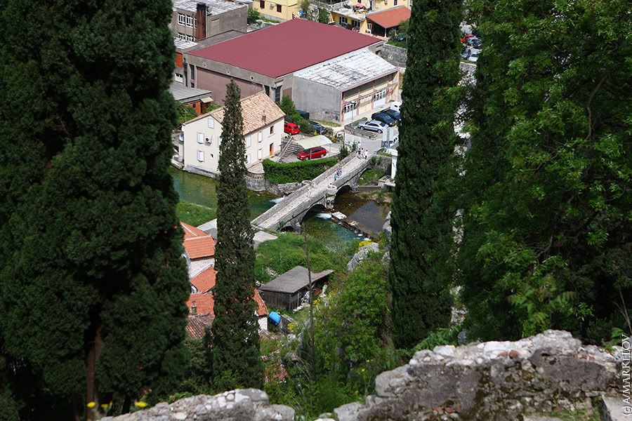 kotor 