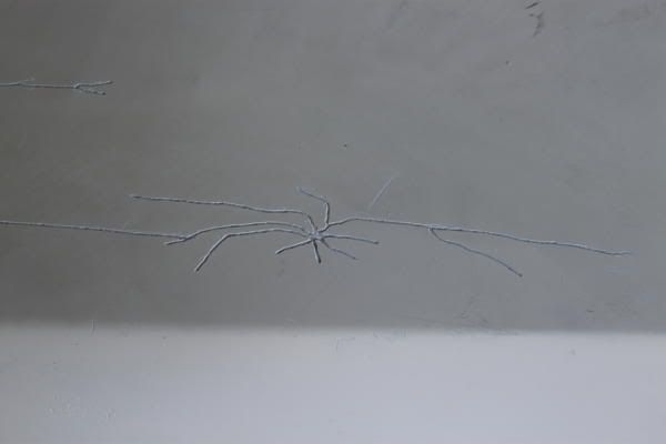 IMG_2834.jpg
