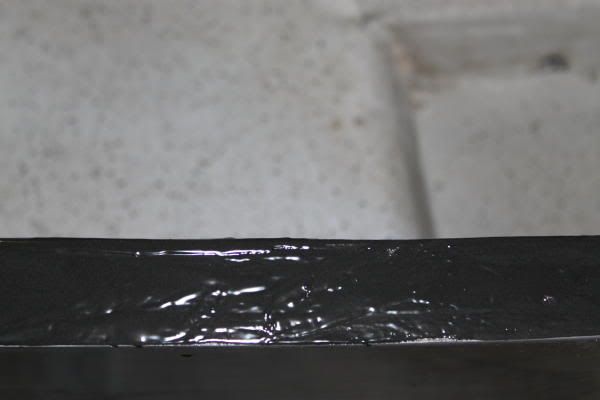 IMG_3170.jpg