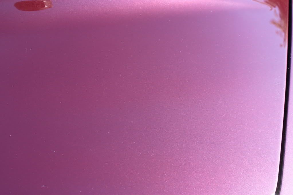 Pictures271.jpg
