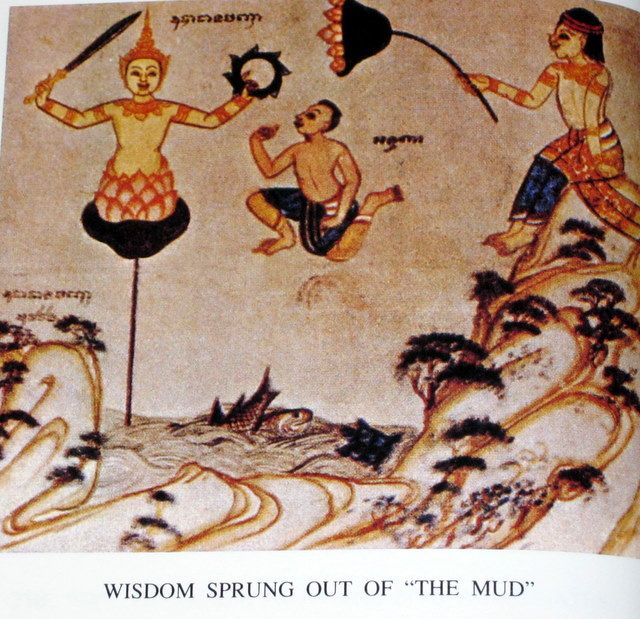 photo 05_Wisdom_Sprung_out_of_the_mud_zps1f21b46d.jpg