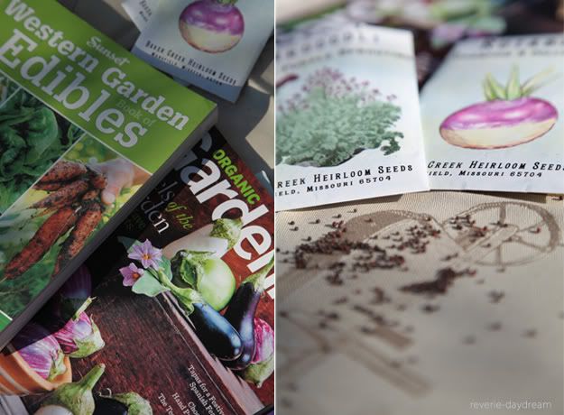 Last year was my first attempt at gardening, a learning process to say the ... Last year was my first attempt at gardening, a learning process to say the ...