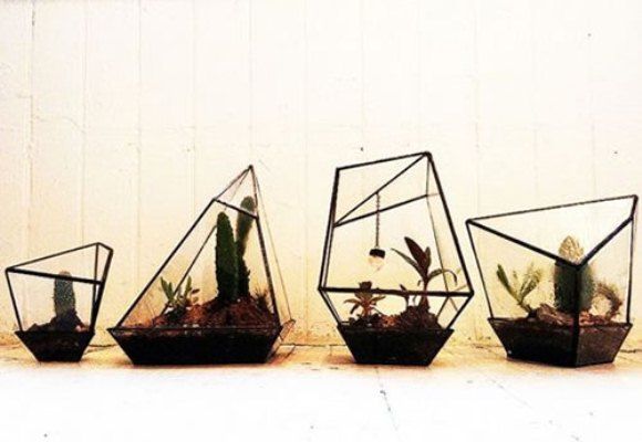  photo Cacti-Geometric-Terrariums_zps04d119fd.jpg