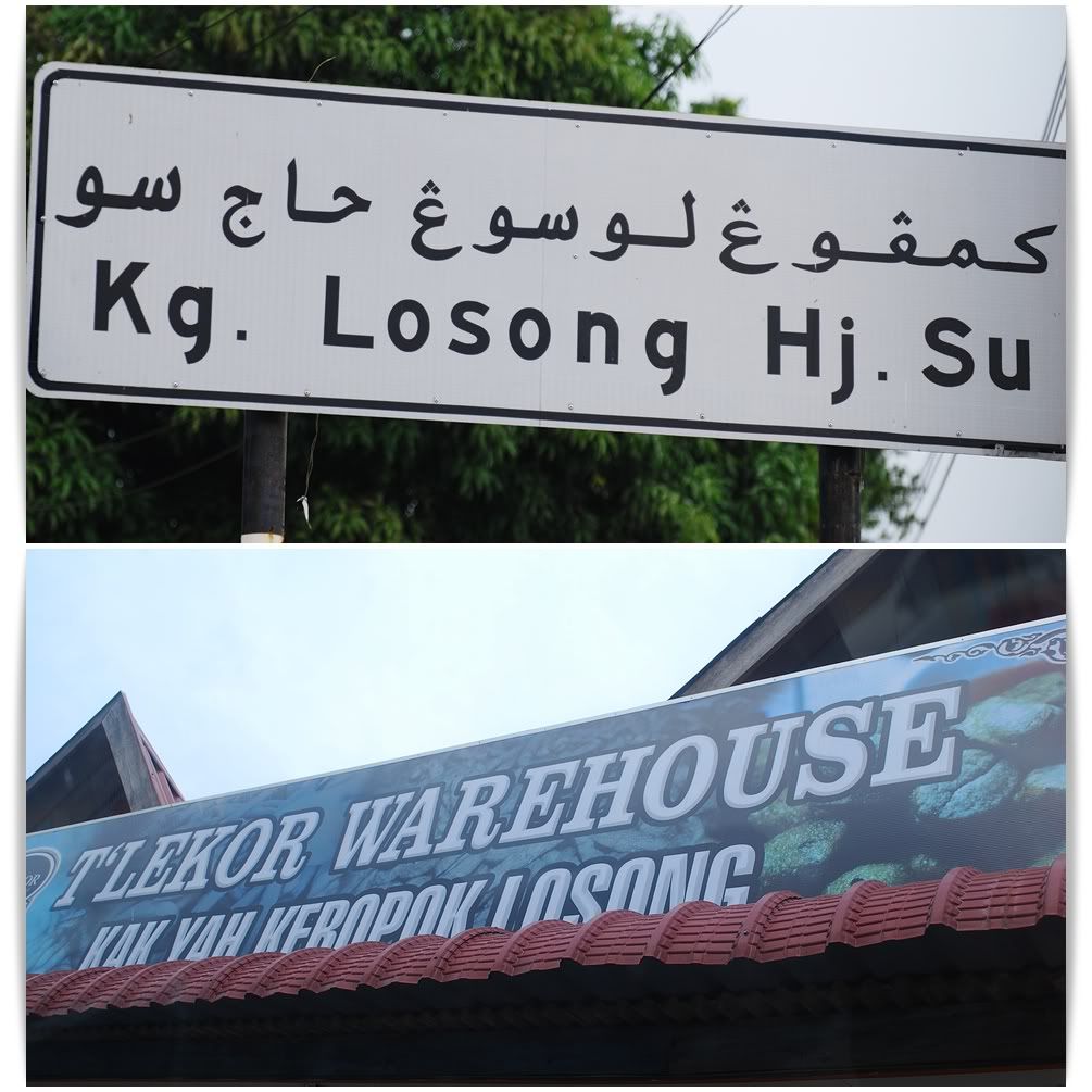 sign losong