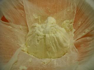 Fresh Ricotta