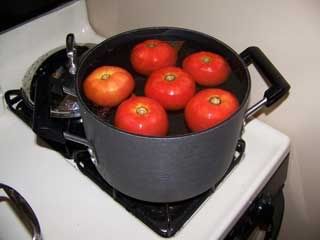tomatoes