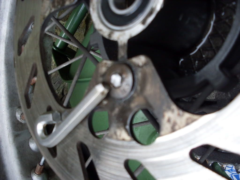 SDC11164.jpg