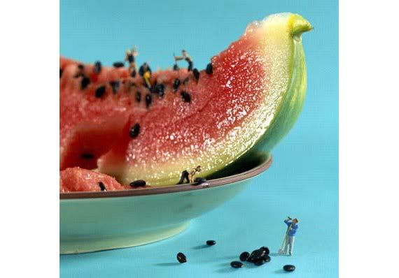art,food watermelon