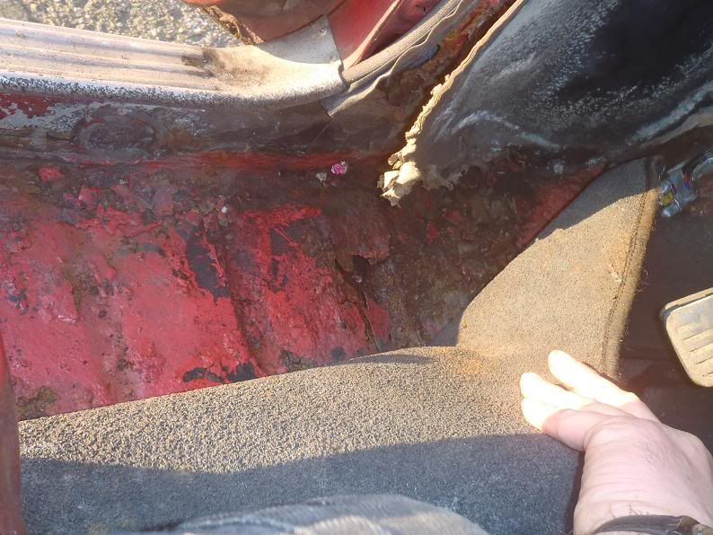 [Afbeelding: bodemLV.jpg]