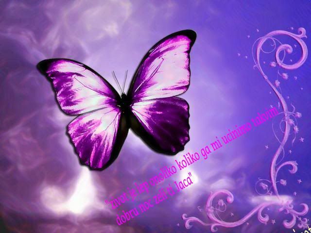 purple149np0-1.jpg