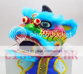 MINIATURE MINI Chinese New Year LION DANCE Costume HEAD WITH TAIL BLUE 