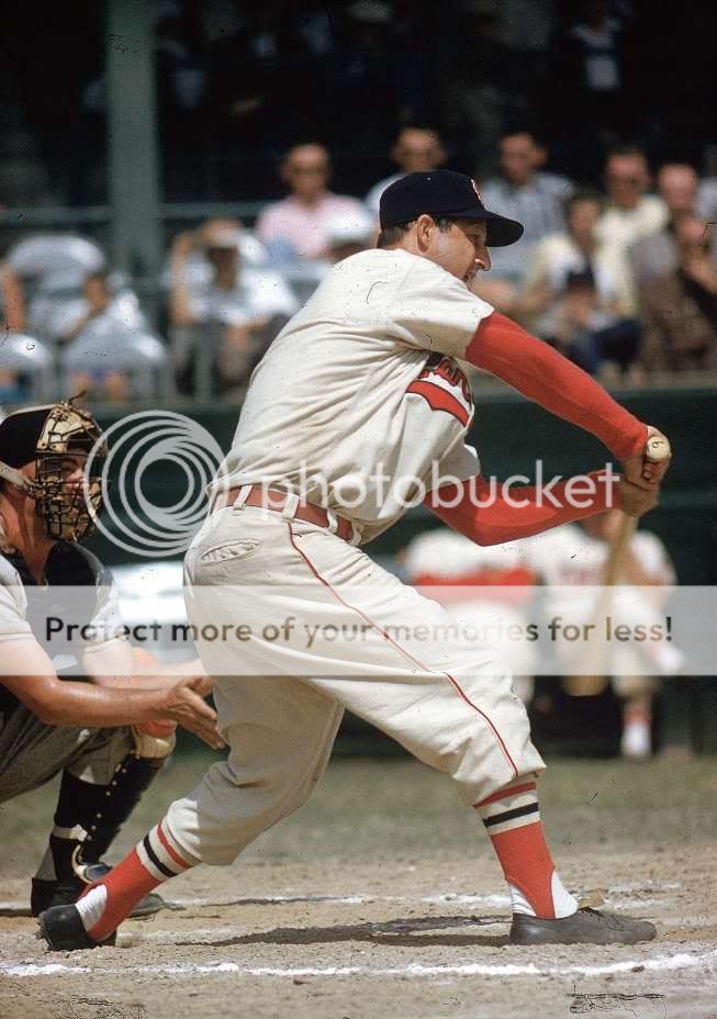 Stan Musial Thread - Baseball Fever